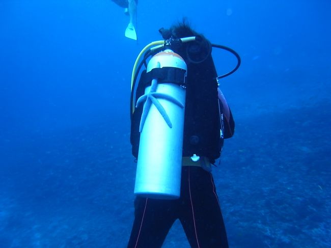 さすがに４本もボンで潜ってると、みんな手持ちぶさたになってくるんでしょうかね？<br />カメラ貸してって水中で言われて、なんだろうと思いつつも言われた通りにすると、あとで海から上がってカメラ確認してびっくり。<br />私、ヒトデちゃんと一緒に泳いでたんですね！<br /><br />全然その時は知りませんでしたけど、かわいい写真をありがとう。