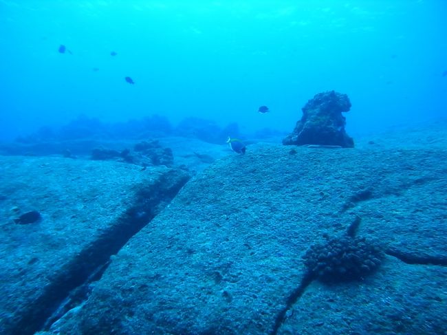 さらに南下して、とうとうクルーズ最終ダイブ<br />＠シミランSHARK FIN REEF<br /><br />シミランらしいごっつい岩場ポイント。<br />やっぱり圧倒される景観だなぁ。<br />
