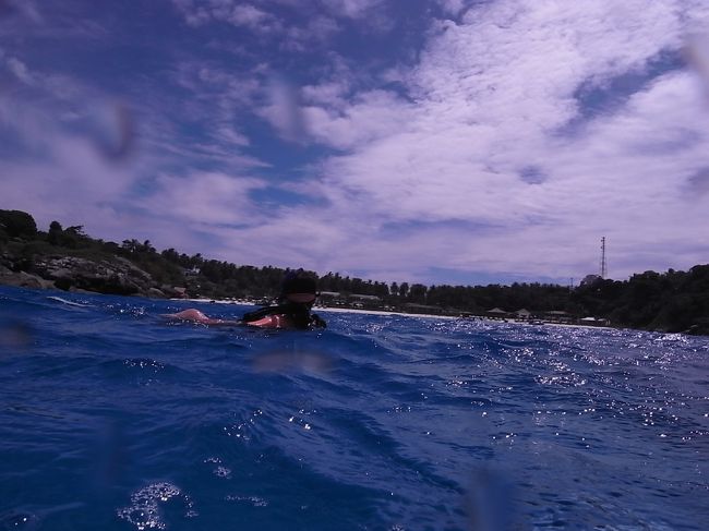 ダイビングクルーズの下船翌日にも関わらず、またまた日帰りダイビングです。<br />今回は下船後に合流した友達の約10年ぶり10回目のリフレッシュダイビングにお供させてもらいます。<br />かなりのブランクにも関わらず、意外にびびりもせず、度胸がある私の友人。<br /><br />
