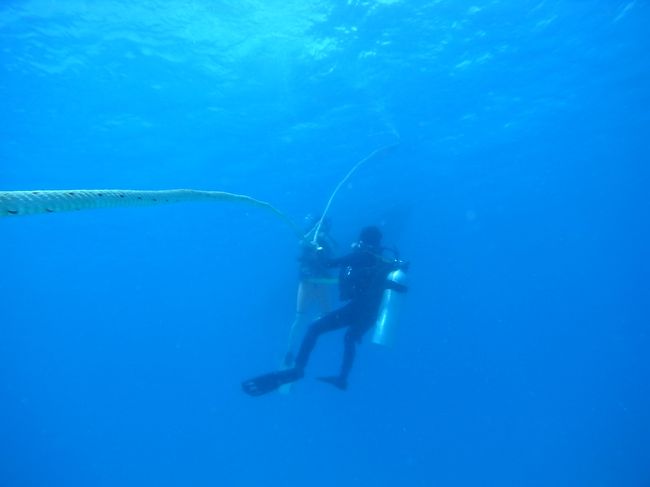 しかも順調に潜ってるし。
