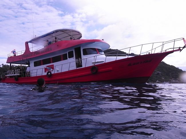 久々のダイビングをやってみた友達の感想は「楽しかった〜」って！<br />よかった、よかった。<br />で、また一緒にどっか違う海に潜りに行こうねって言ったら、「また10年後ぐらいでいいや」って・・・<br /><br />がっかり〜、、、これで友達をダイビングに引き込んで、一緒に色んな海に行けるようになったらいいのになって思ってたのに。。。<br />ま、こればっかりは無理強いするわけにもいかないから、諦めるかぁ。