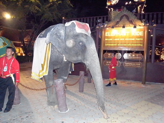 ショーは写真撮影不可だったけど、象さんたちの芸はほんとに素晴らしいです。一見の価値あり！！<br /><br />ちょっと奮発してゴールデンシートにしたので、１階席の中央あたりでしたが、ゴールデンシートにするかどうかは別に変らないかもしれないですね。