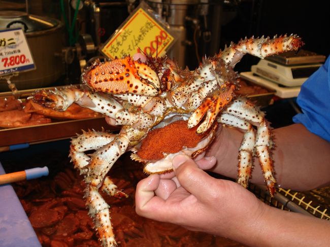 二条市場のカニ。<br />卵いっぱい！<br />この後イカの悪夢が・・・。