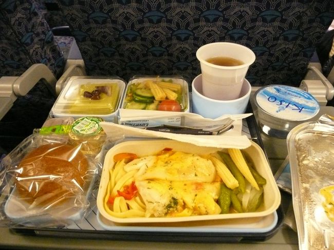 １回目の食事。<br />エジプトでは、揚げ物と、肉が多いと思うので、ここでは魚を選択。<br />おなかがペコペコだったので、完食。<br /><br />写真を撮ってないけど、おやつが出たよ。<br />鮭おにぎりと、どら焼き。<br />おにぎりを食べて、どら焼きは非常食用に確保。<br /><br />ふと斜め前を見ると、外国人の兄ちゃんがお握りをうまくビニールから外せなかったみたいで、分解されとる；<br />諦めてどら焼き食べてた。