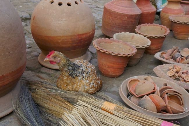 こちらの店番は七面鳥。水がめを売っているみたいですね。<br /><br />のんびり散策を楽しんだバクタプル観光も終わり。次はヒマラヤを望むナガルコットに向かいます。