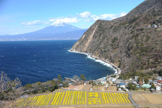 西伊豆を富士を見ながら北上ドライブ 煌めきの丘 沼津 静岡県 の旅行記 ブログ By てんとう虫さん フォートラベル
