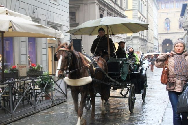 小雨の中、大きな傘を差している馬車<br />カルツァイウォーリ通り。