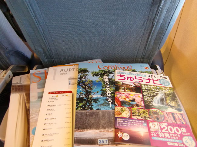 シートポケットの機内誌と、沖縄路線では恒例となったちゅらナビです。
