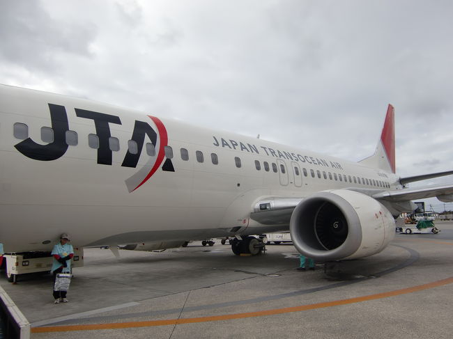 乗ってきた飛行機を撮影。