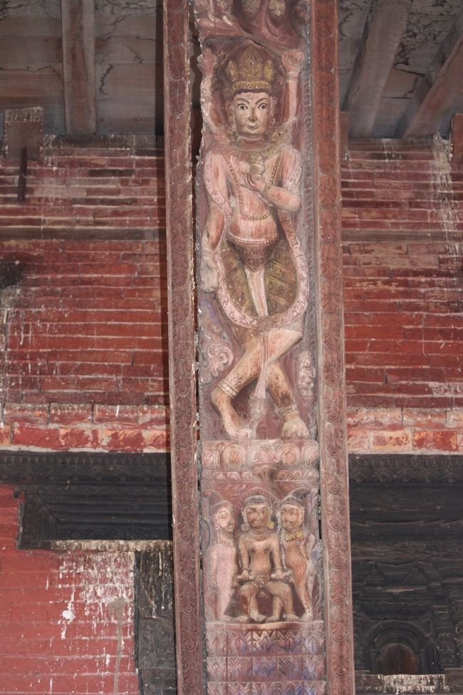 全然何かわからないけど、写真を撮る