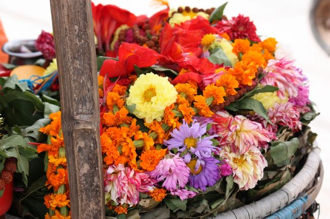 結構見物客も多く。ちーーーーんという感じの雰囲気ではなかった。<br />でもあんまりじろじろ見るのも何なので、遠くから見てました。