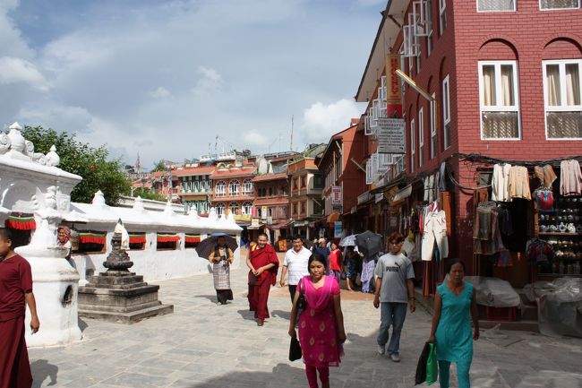 やってきました