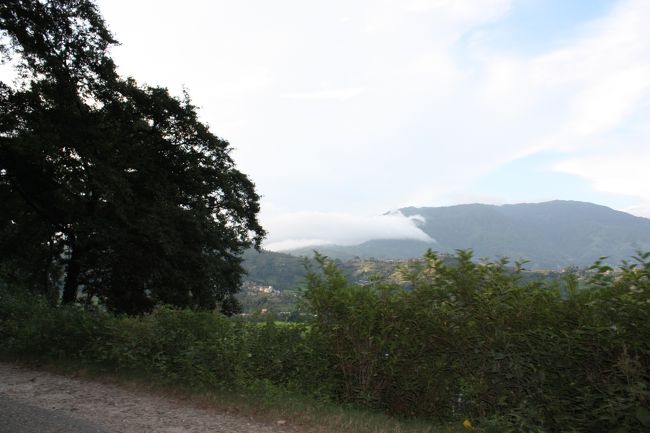 続きましてはある山中。