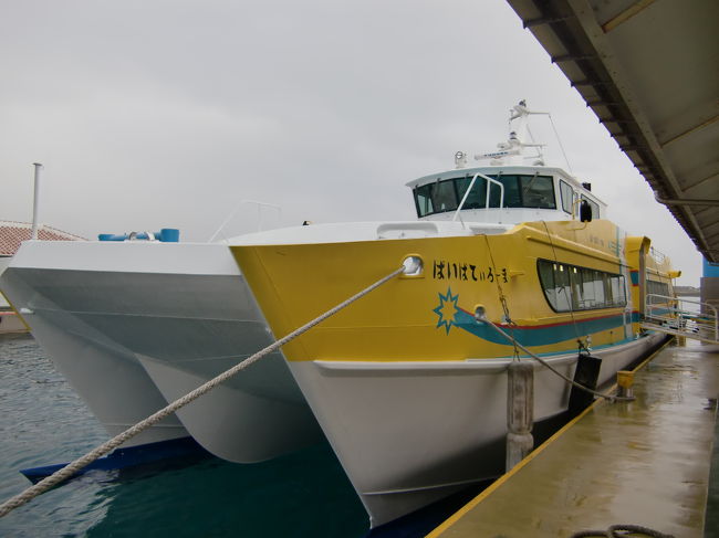 黄色のボディーが目立ちます