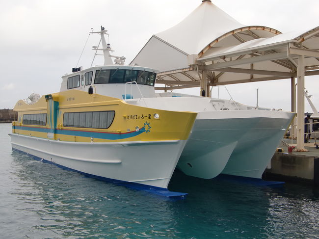 石垣から到着したぱいぱてぃろーま