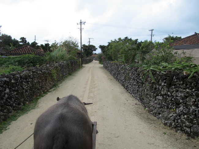 のんびりと牛舎に揺られ集落を周ります。
