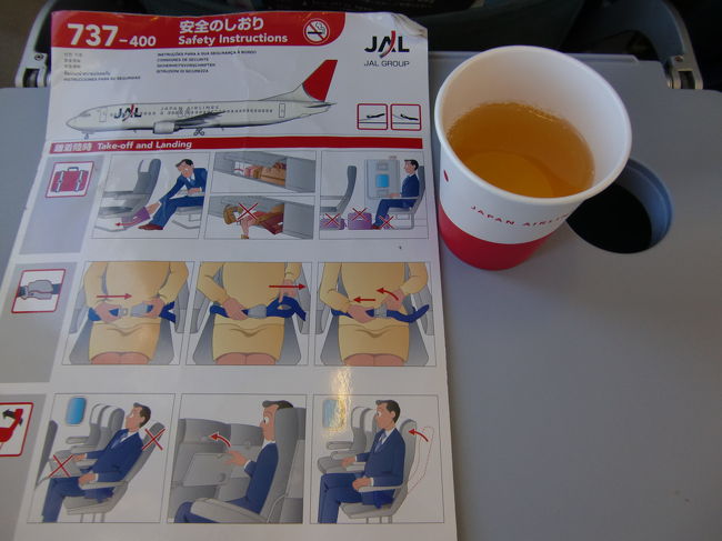 安全のしおりとドリンクサービスで頂いたりんごジュース。