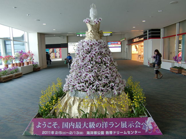 海洋博公園での国内最大級の洋ラン展示会開催に合わせ蘭でできた人形が飾ってありました。