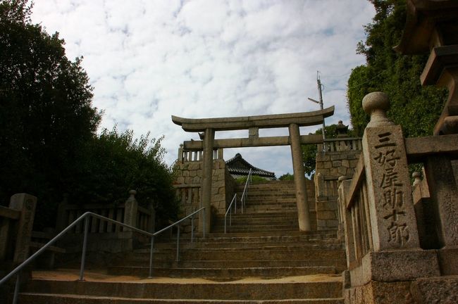 まだまだ登ります。