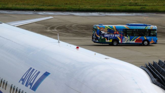 なーんと、飛行機の後ろにもカラフルなバスが走り、おこちゃまたちが乗っています〜〜〜〜