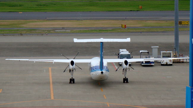 ANAのプロペラ機が停まっていましたー。<br />ボンバルディアDHC8-Q???<br /><br /><br />二人の人がこちらに向かってお辞儀をしているように見えて仕方ありません(^_^;)