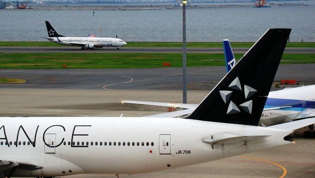 スターアライアンス特別塗装機のツーショット。<br /><br />手前のJA711Aは行きに乗った機材でしたー。