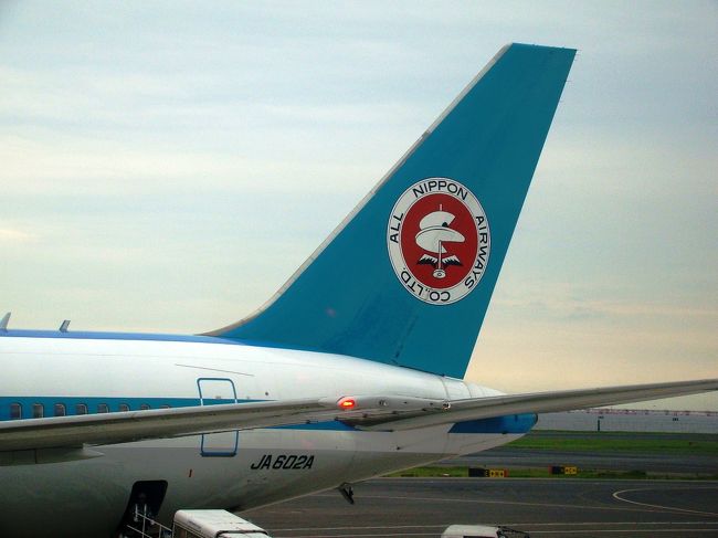 垂直尾翼には<br />レオナルド・ダ・ヴィンチのヘリコプターの図案をモチーフにしたANAの社章。<br /><br /><br /><br />2013年まで飛ぶとのこと。<br />いつか乗る機会はあるかなぁ。