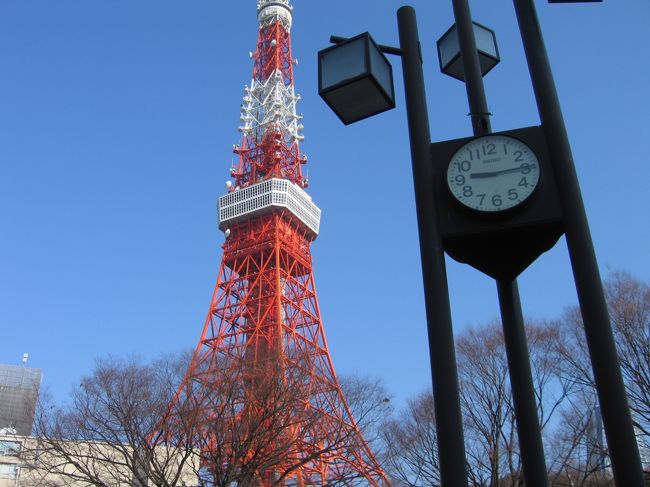 一夜明けて、東京観光一日目。<br />本日はまずべたに東京タワーを目指します。<br /><br />ホテルから駅に向かって歩いていてびっくりしたのが、通勤の人たちの群れ！　わらわらわらわら、ハンパない人の群れが・・・映画のエキストラかなんかみたいです(笑)、すごい、これが東京なんだあ。<br />あんな光景は初めて見ました、衝撃でした(笑)。<br /><br />さて、田町駅前から「ちいバス」という100円バスに乗ります。<br />東京のバスは前乗りで、料金も前払いなんですね。<br />知らないとわたわたします、神戸みたいに、「乗ってから小銭出そう」なんて考えてるとダメなんですね(笑)。<br /><br />しばらくバスが進むと、突然車窓から東京タワーが見えました！<br /><br />