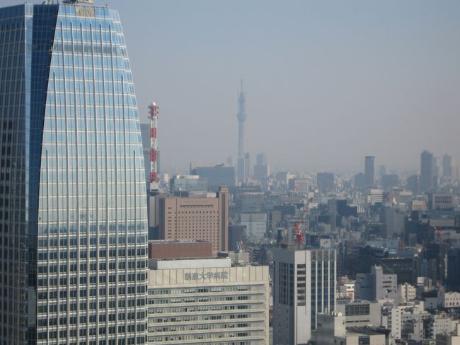 月曜日、まだ朝9時半ごろですが、さすが東京のランドマーク。<br />すでにけっこう観光客が入っていました。<br /><br />最初に着く展望台から、建設途中の東京スカイツリーが見えました！<br />