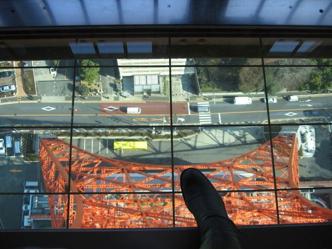 下の展望台に戻って、ガラス越しに下界がのぞける「ルックダウンウィンドウ」をのぞきます。<br /><br />のぞきこんでいると、係のお姉さんが「上に乗ってもらって大丈夫ですよ。抜けたりしませんから(笑)」と・・・。<br />では。　うわっ・・・想像以上に上に乗るの怖いです！