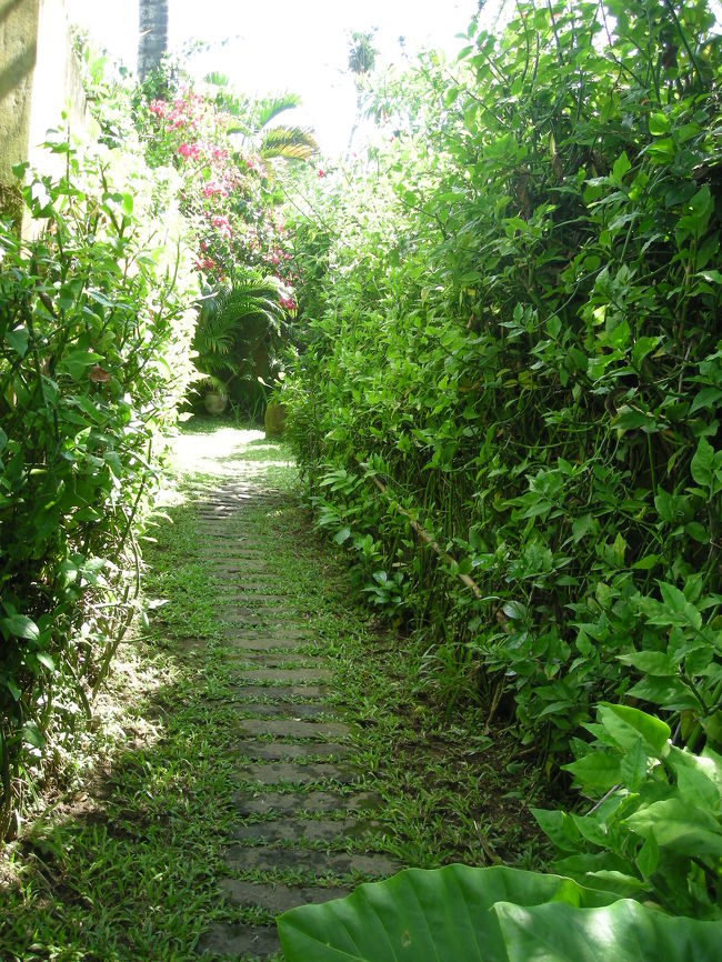 部屋まで小道を通っていきます。<br />とてもすてき。