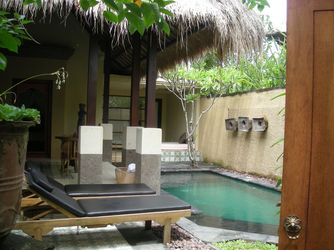 ぱぱーん。<br />中に入りました！プライベートプールつき！