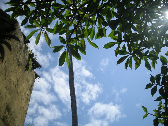 部屋で少しゆっくりしたら、散策にでかけました。<br />それにしてもいい天気！