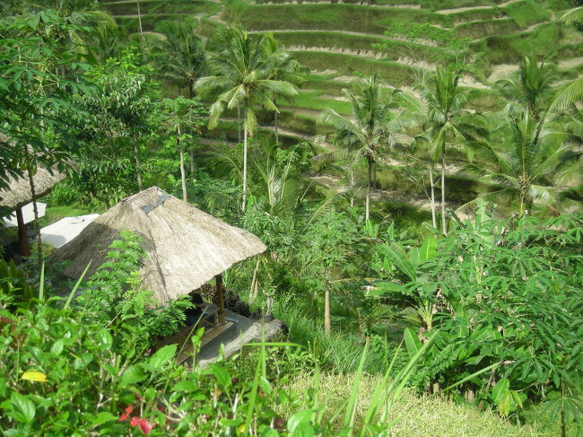 あんなところにレストランが。