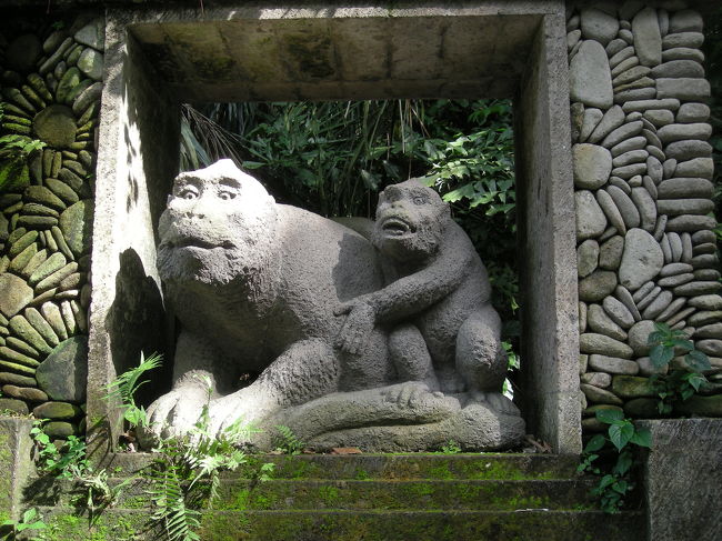 モンキーフォレスト