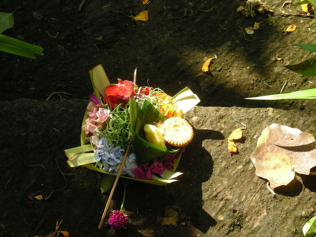 ３日目。今日もありました。