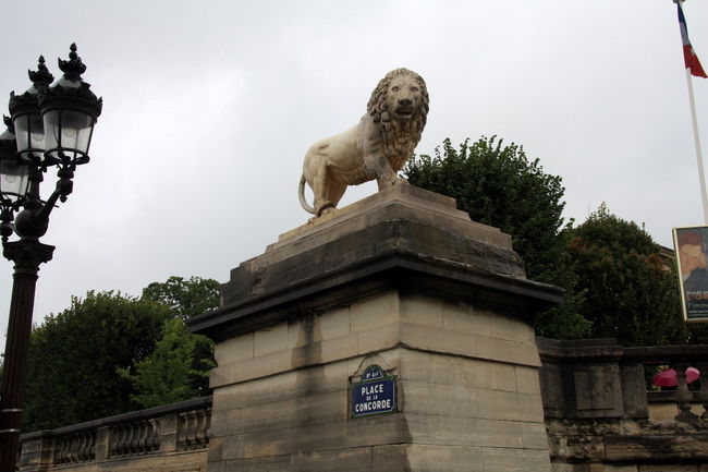 凱旋門からシャンゼリーゼ大通りを抜けてコンコルド広場の先にあるオランジュリー美術館を目指してひたすら歩いてきました。