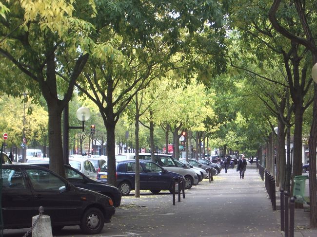 プラスドイタリーからオーステリッツへの街路。まだ、ちょうど紅葉して葉が落ち始めた時季で街が落ち着きをとりもどしてきています。