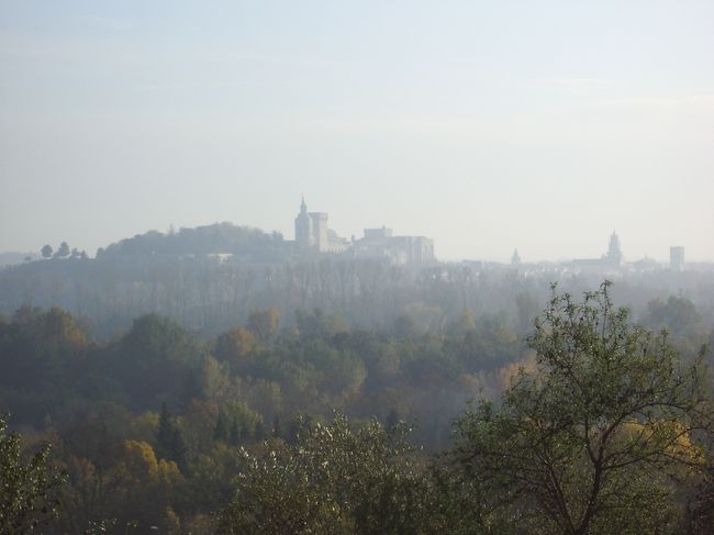 遠くに見えるのAvigonの教皇庁の建物です。