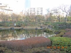 六本木まで歩き、ここは毛利庭園です。
回遊式の日本庭園ですが、実は想像していたよりこじんまりとしていました。