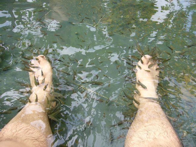 ドクターフィッシュに食べられまくり(^^;