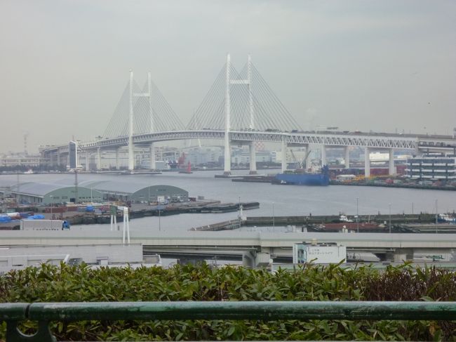 中華街を後に、再び「あかいくつ」バスで「港の見える丘公園」に立ち寄りました。<br />ここからの風景も、やっぱり神戸のポートアイランドの辺りを思い起こしました。<br /><br />それにしても、寒かった！