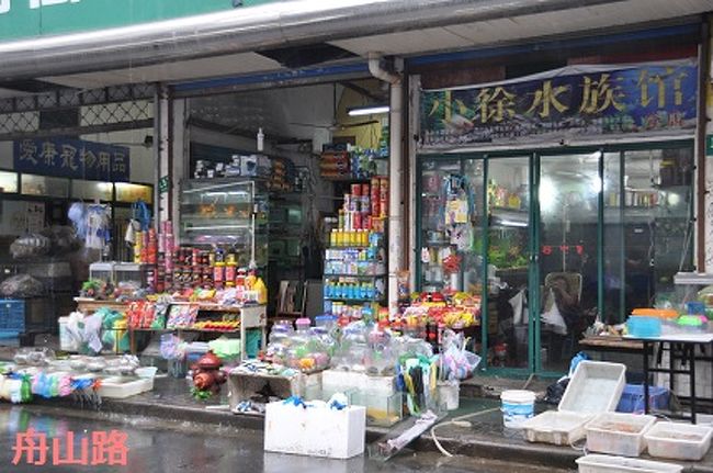 観賞用の魚を売るお店。