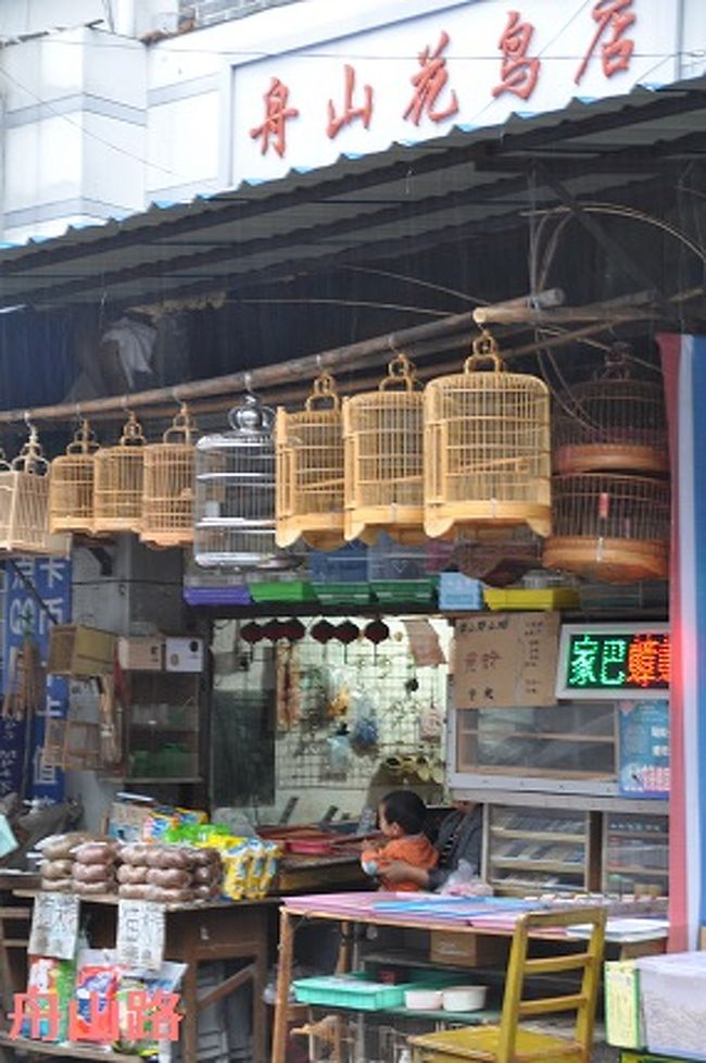 鳥屋さんもありました。