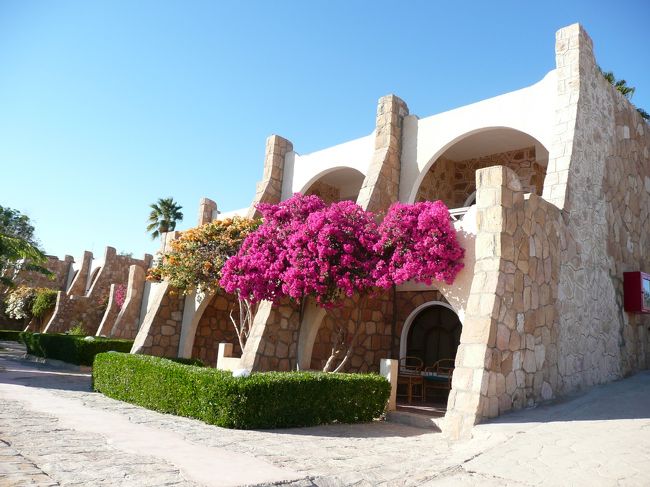 そして外観はもっとおしゃれです。<br />コテージ型のホテルなのです。<br /><br />私たちは、二階の部屋に泊まりました。