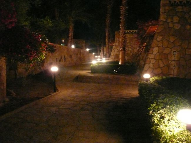 夜のホテルも、また綺麗。<br /><br />散策したくなるが、母はすでにギブアップのようで、先に部屋へ戻るとな。<br />仕方なく１人でフラフラ。<br /><br />そのあと、ちょっとしたアクシデントがおこるわけだが………