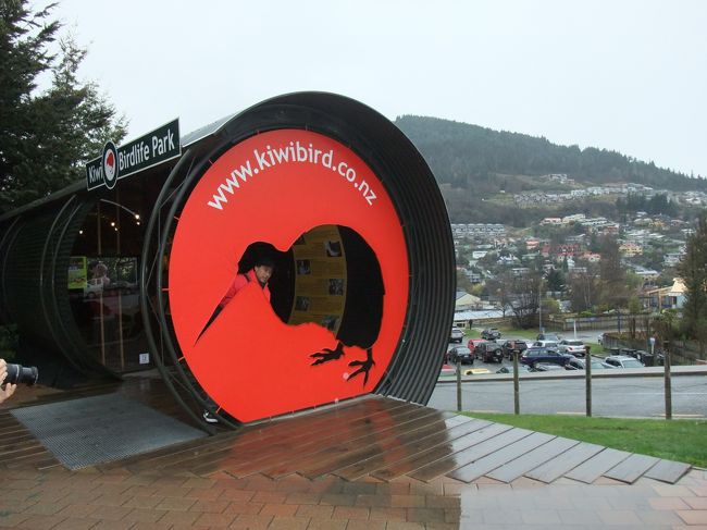 １６：４０　クイーンズタウンに戻り、キーウィ＆バードライフ・パークへ。<br />運が良く夜行性のキーウィが動いている所を見る事ができました。<br />他にも原生林の中に鳥小屋があり、貴重な鳥が保護されています。