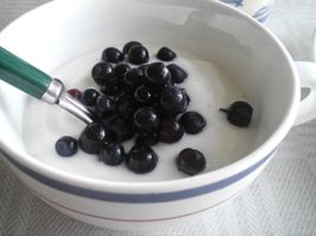 Ingmarsöで２度目の朝を迎えました。<br />朝食には昨日森で摘んだブルーベリー。<br />ヨーグルトに入れて食べてみる。おいしい〜。<br />今日もとてもいい天気で、外にいるのがとても気持ちいい。<br />サマーハウスの周りの木には、いくつかの鳥の家がつけてあります。<br />お父さんや子供達が作って付けたものだそう。<br />静かな部屋で外の景色を眺めながら、スウェーデンの人達は夏にこうしてたくさんリラックスするから、エネルギーいっぱいで仕事に戻れるんだね〜と言うと、Eちゃんが激しく首を横に振る。<br />「みんな、夏に何にもやらないでのんびり過ごすから、仕事に行くときはだら〜っとしてやる気が出ないんだよ〜」<br />夏休みが長いぶん、仕事に行くのがかったるくなるんだね…それも辛そうだなぁ。