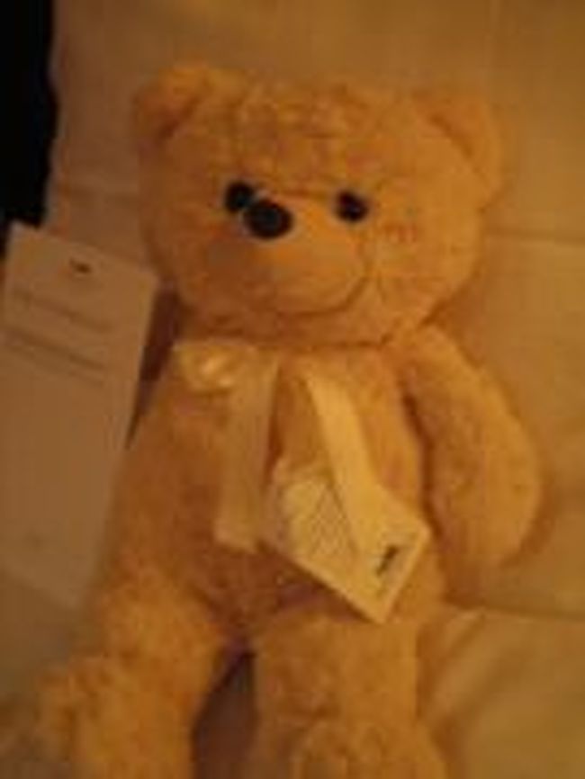 ぬいぐるみにはネームカードがついていて、私の部屋のは"Ricard"（リカルド、と読むのかな）。<br />My name is Ricard（名前の部分だけ手書き） and I am your good luck bear. You may just hug me but I would like for you to adopt me.<br />「僕の名前はリカルド。そしてあなたの幸運のくまです。あなたは僕を抱くだけかもしれないけど、僕はあなたの家の子になりたいです。」<br />こんなこと書いてあるんですよ！<br />思わず「連れて帰るぅー！」と抱き締めたくなるじゃないですか。<br />さらに「もし連れて帰りたいなら料金は125SEK(約1400円)でそのうち25 SEK(約300円)は孤児院に寄付されます。」とある。<br />1400円。幸運のくまだし、記念にもなるし、買ってもいいかな…と思える絶妙な価格設定。<br />しかも孤児院へ寄付なんて善い行いまでできる。<br />結構真剣に考えましたが、もうすでにスーツケースには入らないし、手持ちバッグももういっぱい。<br />さすがにアラフォー女がぬいぐるみを抱えて飛行機に乗るのはいかがなものか…<br />と考えて今回は見送ることにしました。 