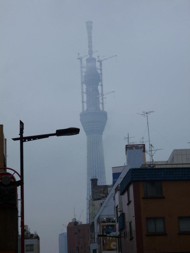 仲見世通りを歩いていてふと気付くと、霧の中にたたずむのは東京スカイツリーではないですか。<br />おととい東京タワーから見えた時はちっちゃ〜かったですが、こんなに大きく見えるんですね。<br />モヤにその姿を見せたり隠したりしているのが、なんだか幻想的です。<br /><br />みんな熱心に写真に収めていました、話題になっているのがうかがえます。<br /><br />